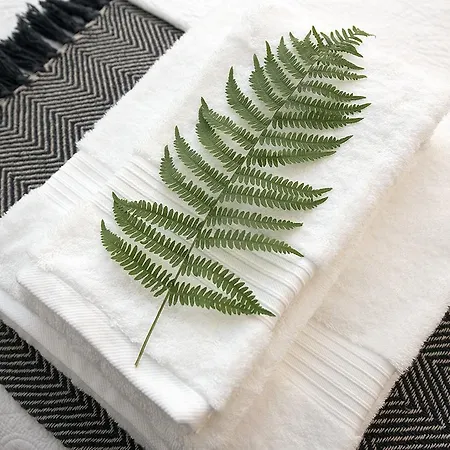 Merchant Liston Apartmán *